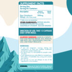 InShot_20251217_163535295