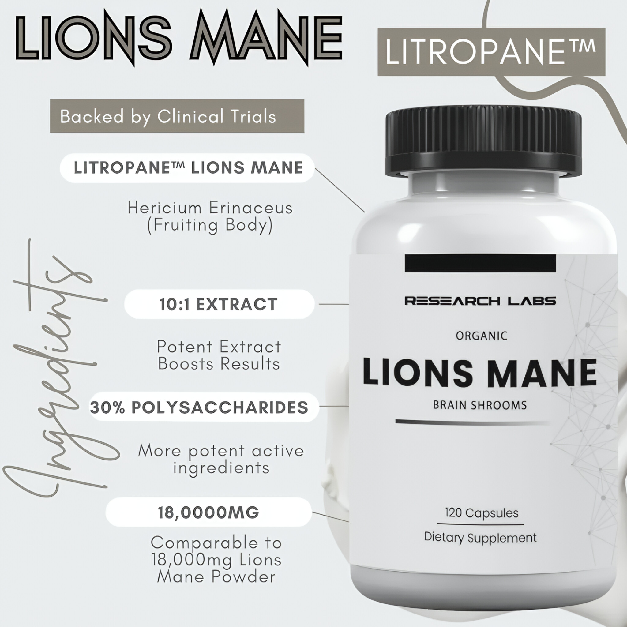 InShot_20251124_144438779