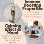 InShot_20251124_143920100