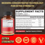 InShot_20251124_163901763