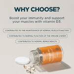 InShot_20260101_194711336