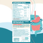 InShot_20251225_145456379