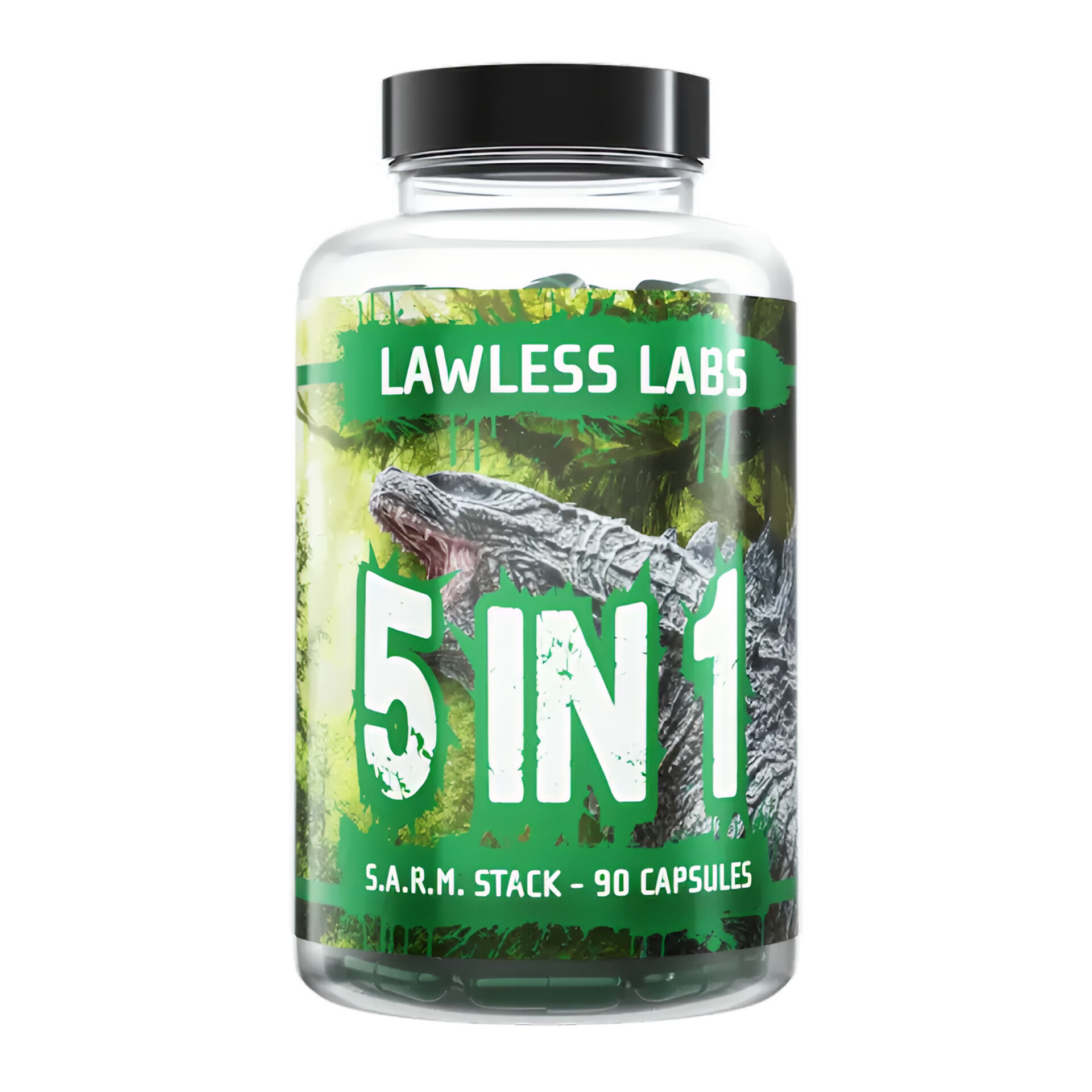 InShot_20260219_203447591