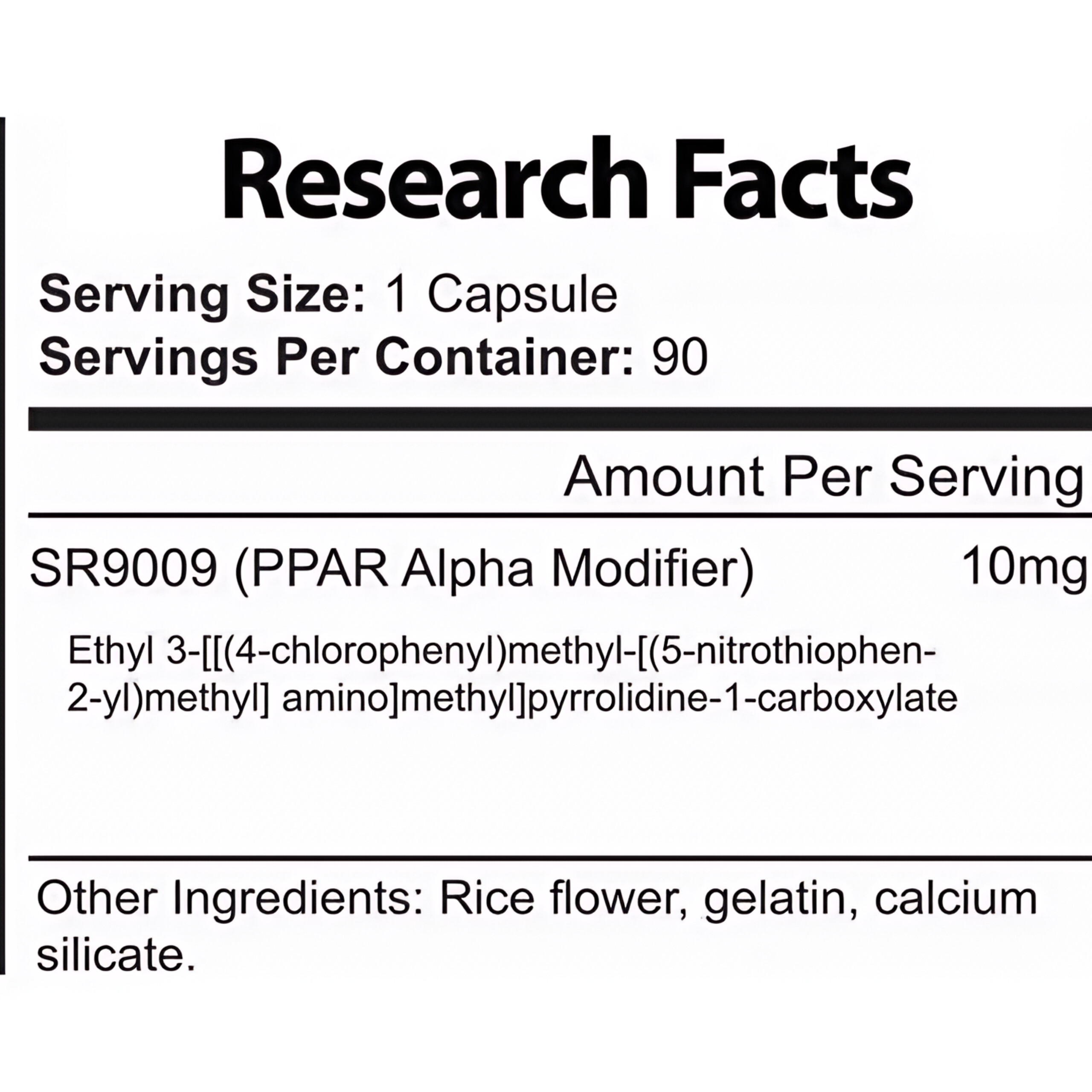 InShot_20260219_204420257