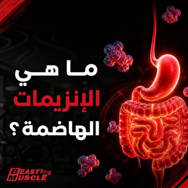 الكرياتين او البروتين